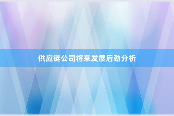 供应链公司将来发展后劲分析